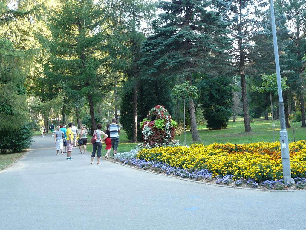 Villa Asturia Rymanów-Zdrój 외부 사진